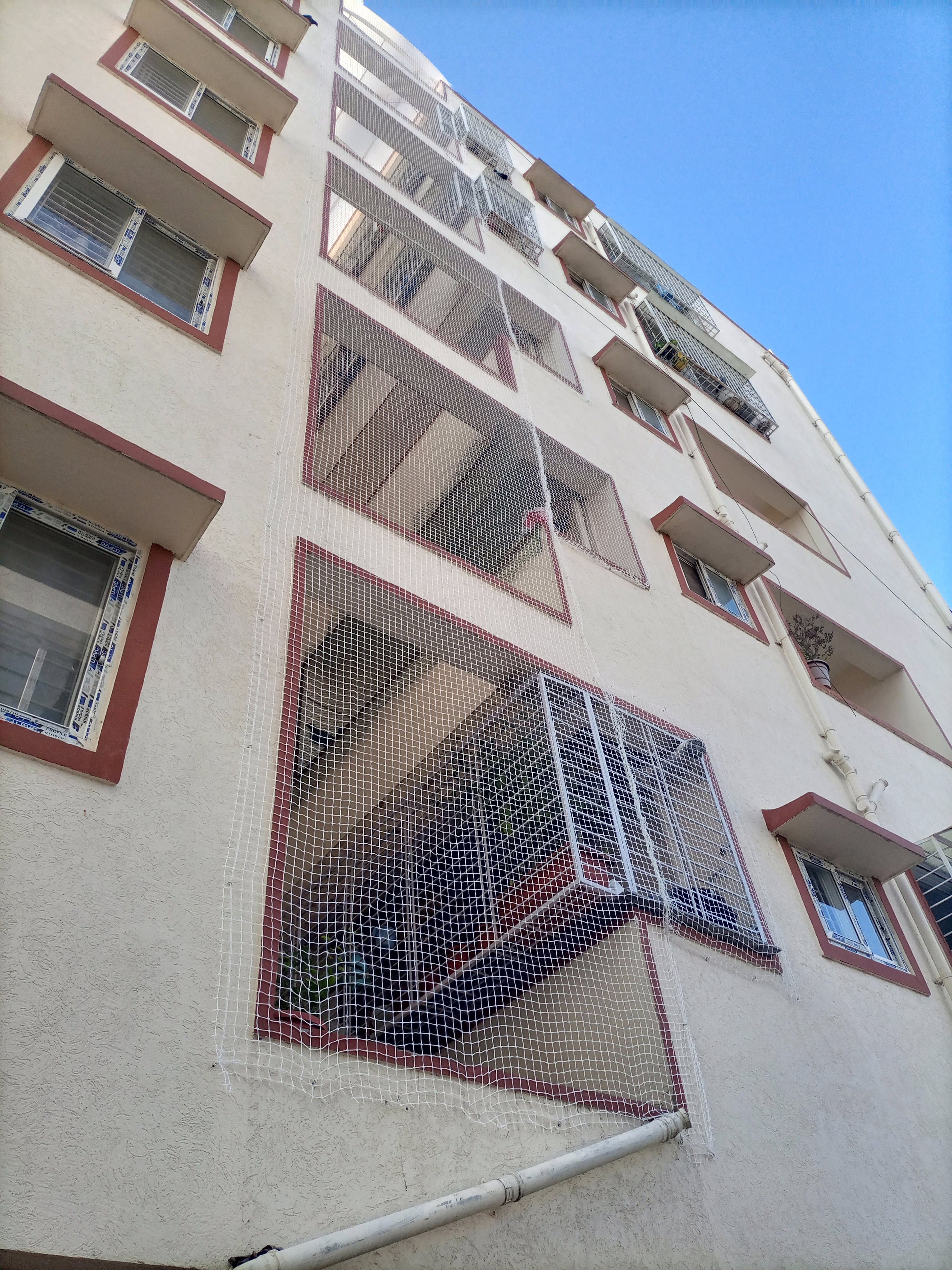 Pigeon Net Installation