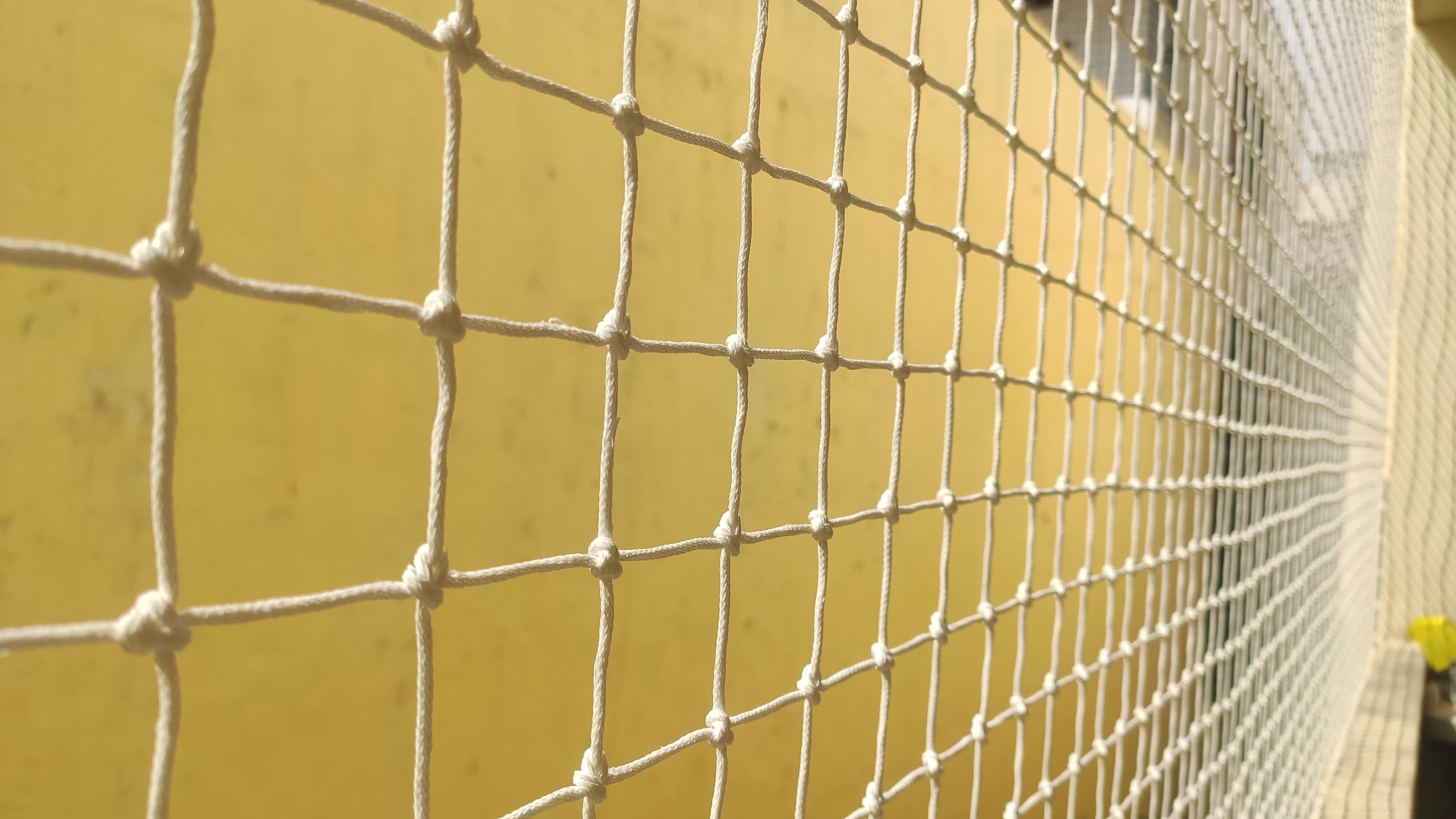 Children Safety Nets